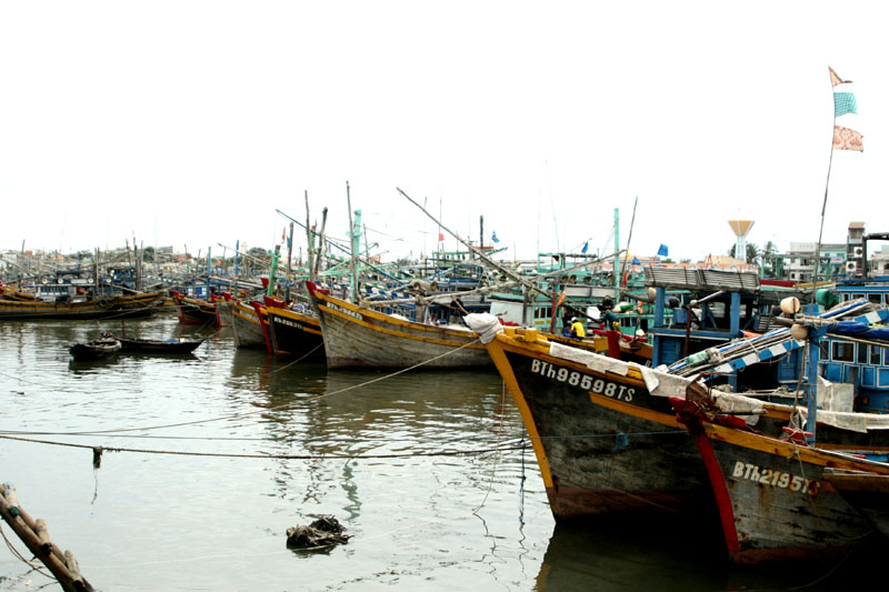 IMG 1959
Bến tàu cá sông KàTy